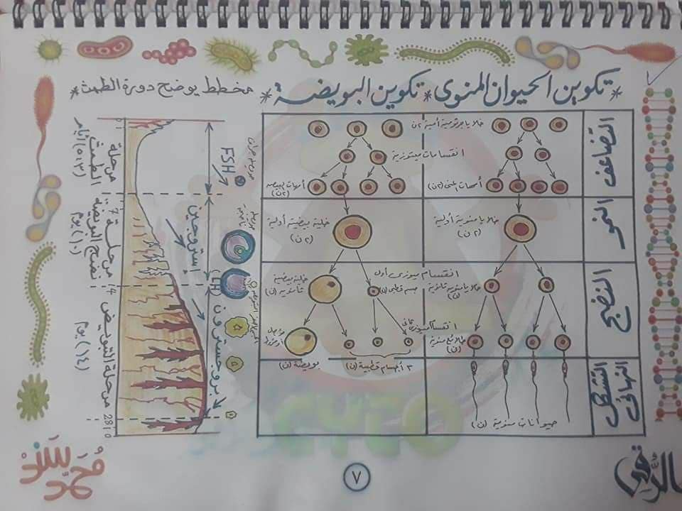 تجميع لكل رسومات الأحياء - للثانوية العامة