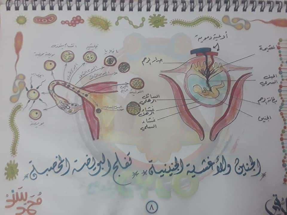 تجميع لكل رسومات الأحياء - للثانوية العامة