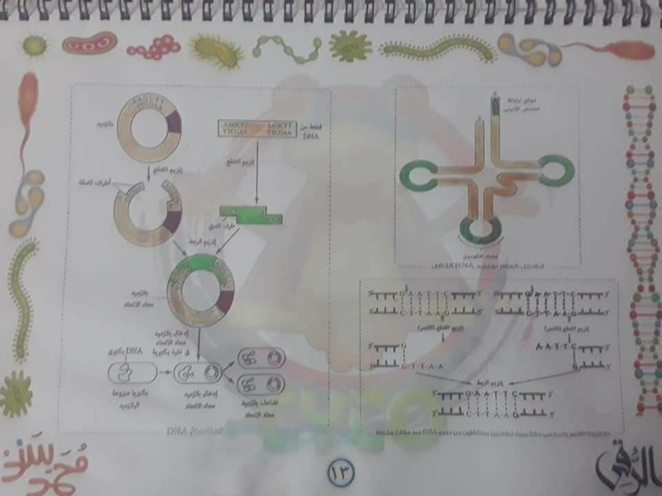 تجميع لكل رسومات الأحياء - للثانوية العامة