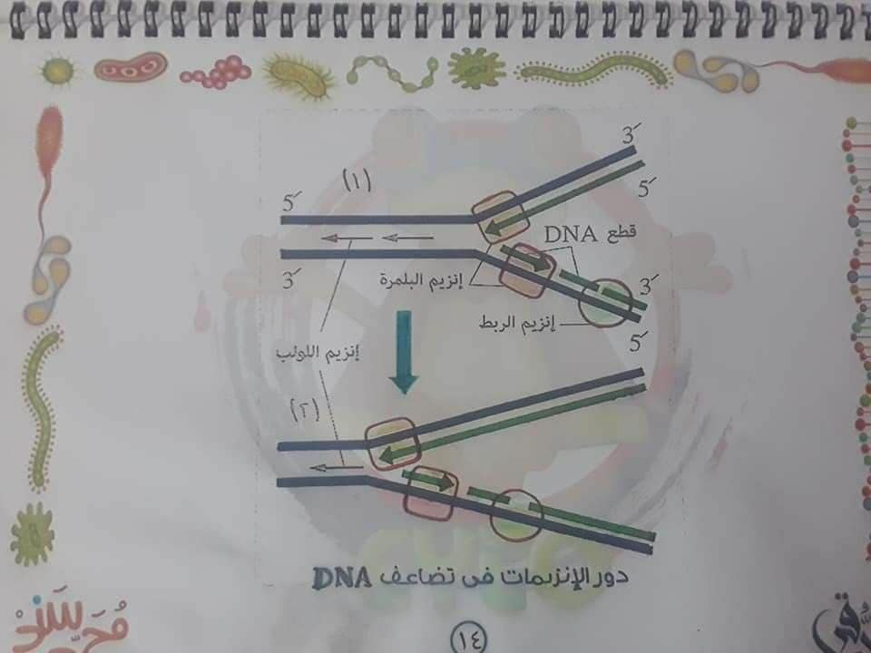 تجميع لكل رسومات الأحياء - للثانوية العامة