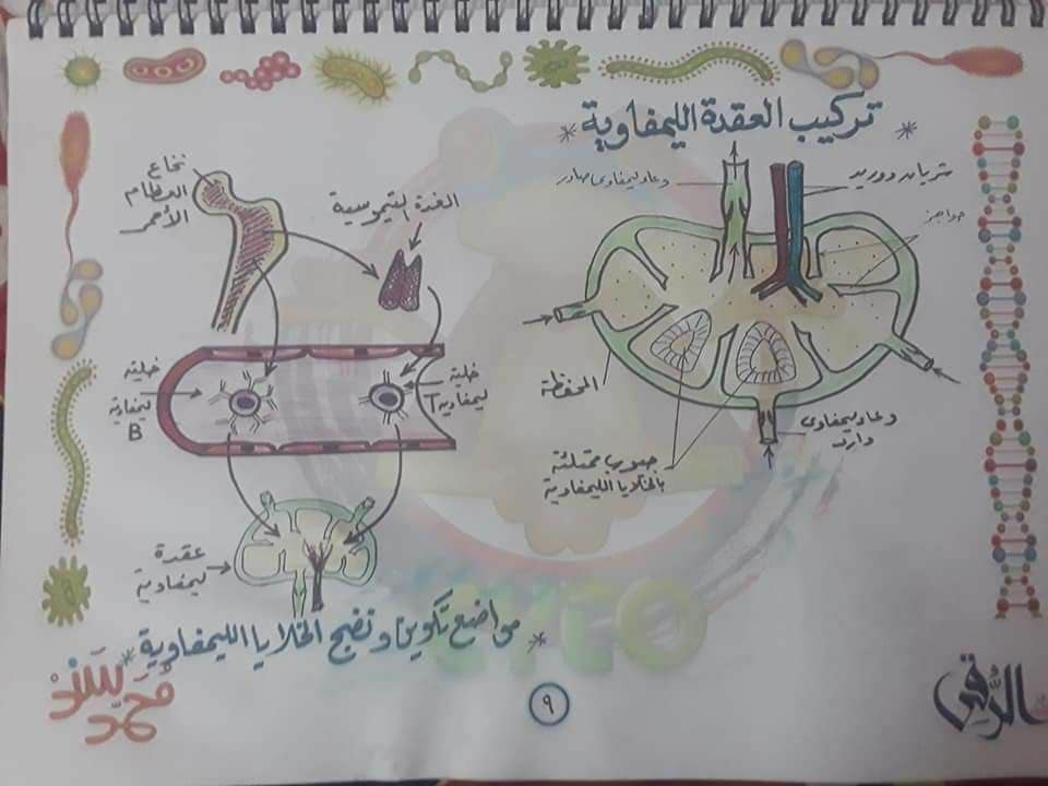 تجميع لكل رسومات الأحياء - للثانوية العامة