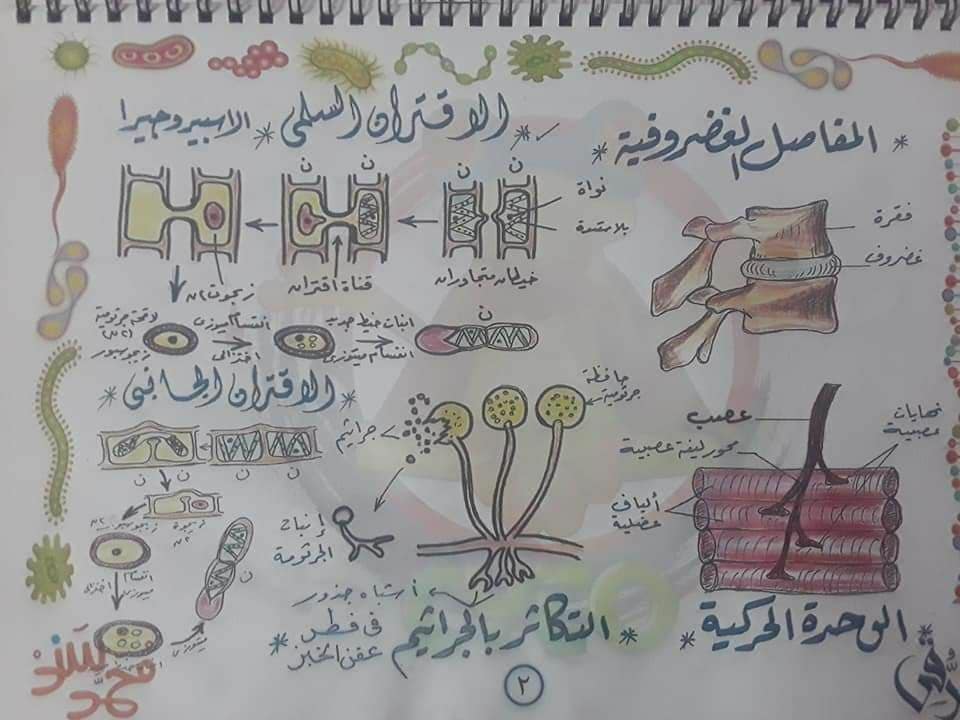 تجميع لكل رسومات الأحياء - للثانوية العامة