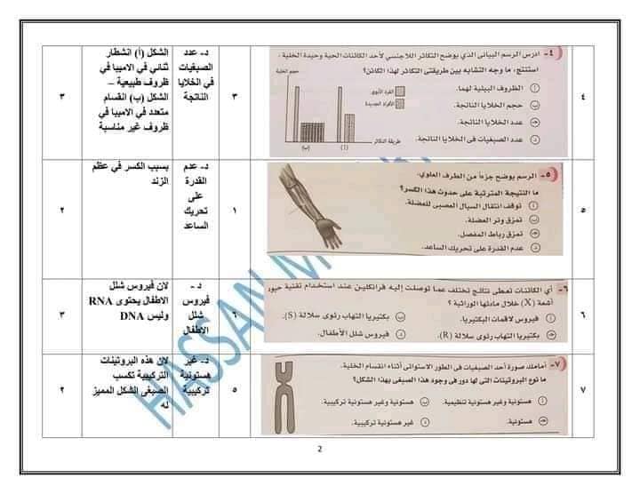 نموذج امتحان الأحياء للعام 2021 للصف الثالث الثانوي مع الاجابات النموذجيه