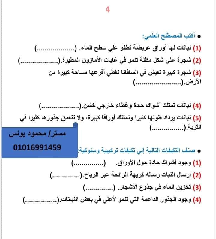 تمارين على أول ٣دروس علوم للصف الرابع الابتدائي - الترم الأول - المنهج الجديد