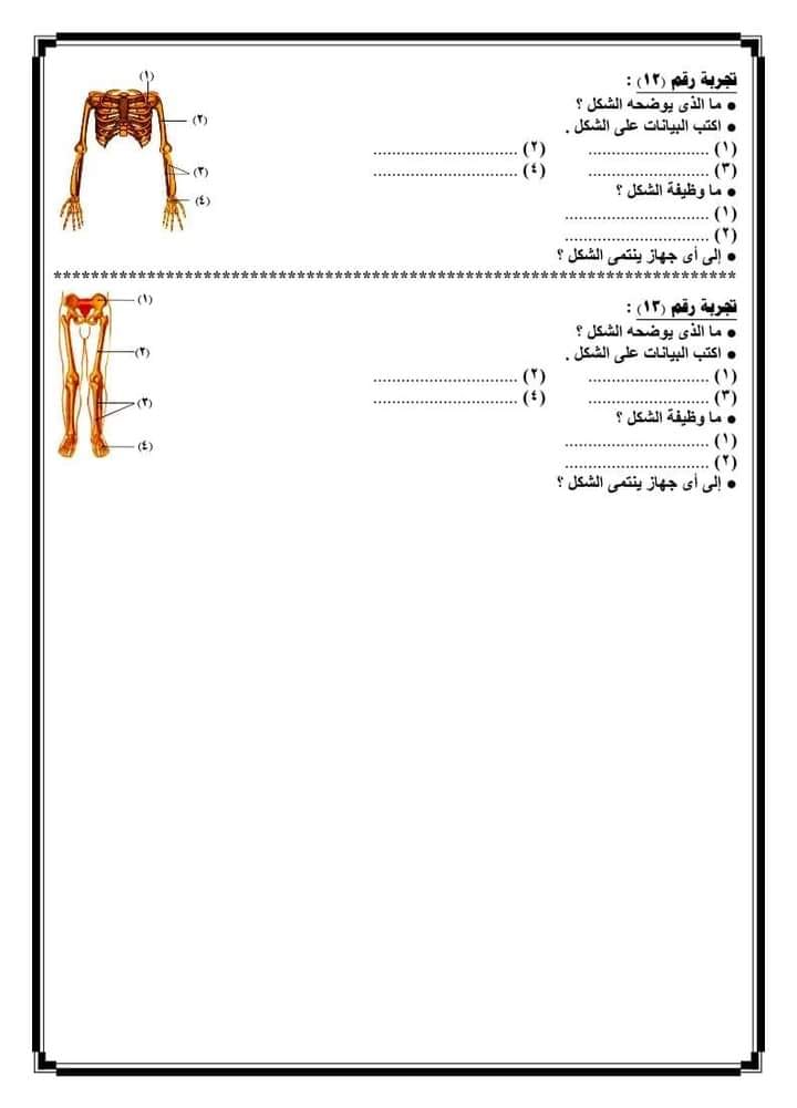 أهم تجارب ونماذج امتحان العملي علوم للصف السادس الابتدائي - الترم الأول